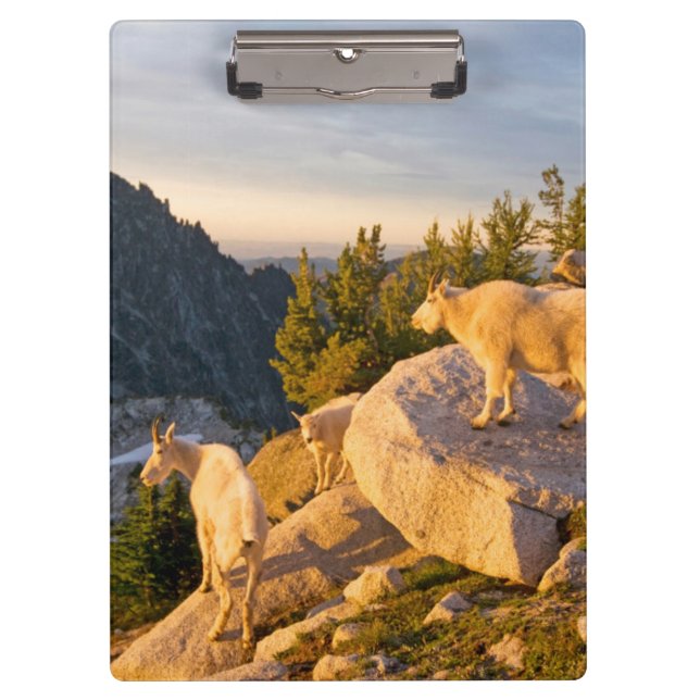USA, Washington, Cascade Range 4 Clipboard (Front)