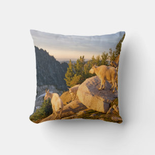 USA, Washington, Cascade Range 4 Cushion