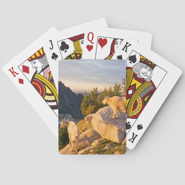 USA, Washington, Cascade Range 4 Playing Cards (Back)