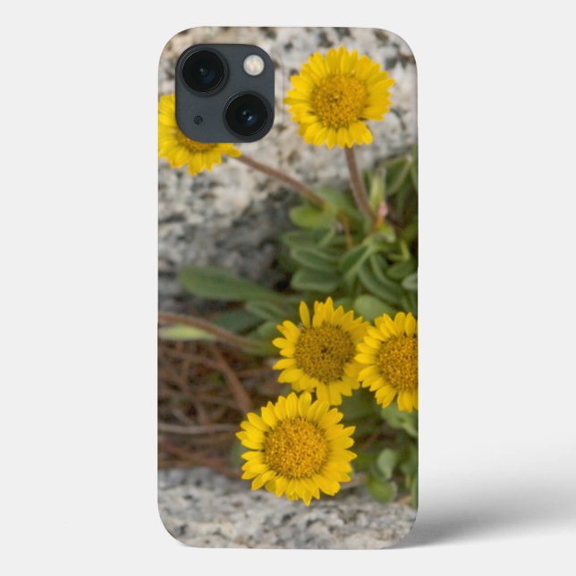 USA, Washington, Cascade Range 5 Case-Mate iPhone Case (Back)