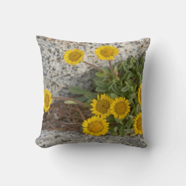 USA, Washington, Cascade Range 5 Cushion (Front)