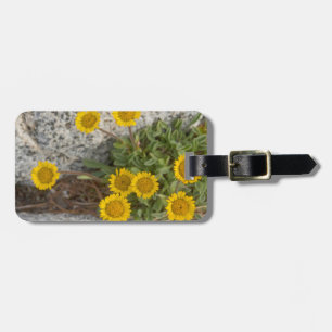 USA, Washington, Cascade Range 5 Luggage Tag