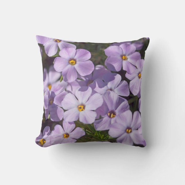 USA, Washington, Cascade Range 6 Cushion (Front)