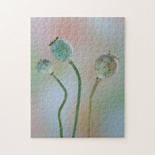 USA, Washington. Close-Up Of Colourful Poppy Seed Jigsaw Puzzle