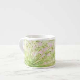 USA, Washington, Close-up of cow parsnip Espresso Cup