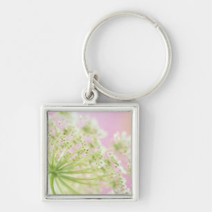 USA, Washington, Close-up of cow parsnip Key Ring