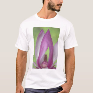 USA, Washington. Close-up of magnolia blossom. T-Shirt