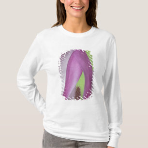 USA, Washington. Close-up of magnolia blossom. T-Shirt