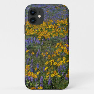 USA, Washington, Columbia River Gorge National iPhone 11 Case