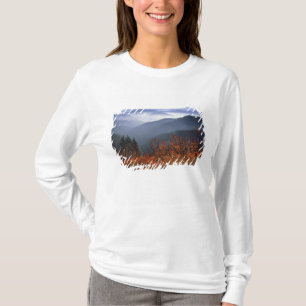 USA, Washington, Columbia River Gorge National T-Shirt