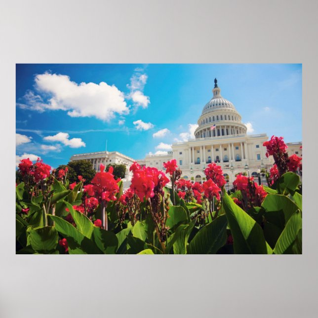 USA, Washington DC, Capitol Building Poster (Front)