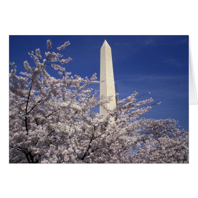 USA, Washington DC. Cherry Blossom Festival and (Front Horizontal)