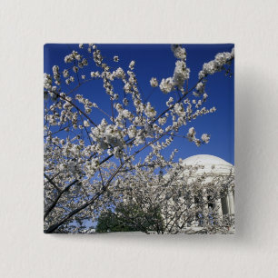 USA, Washington DC. Cherry Blossom Festival and 2 15 Cm Square Badge