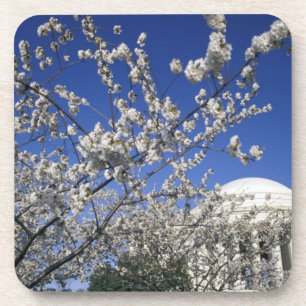 USA, Washington DC. Cherry Blossom Festival and 2 Coaster