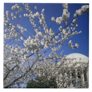 USA, Washington DC. Cherry Blossom Festival and 2 Tile