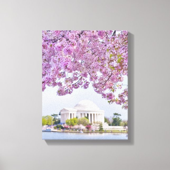 USA, Washington DC, Cherry tree in bloom Canvas Print (Front)