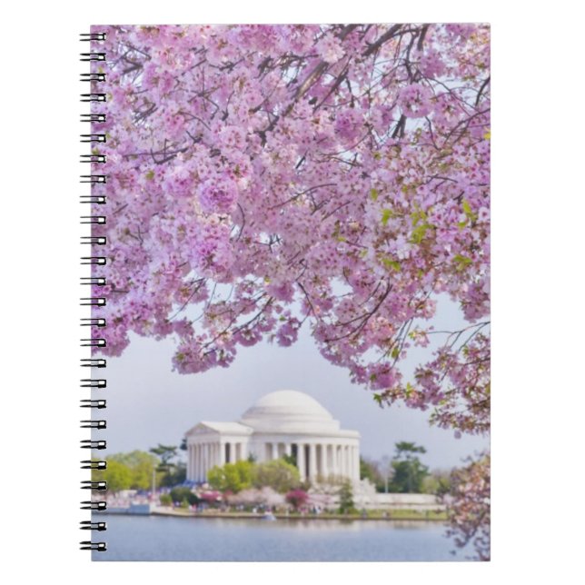 USA, Washington DC, Cherry tree in bloom Notebook (Front)