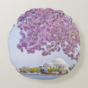 USA, Washington DC, Cherry tree in bloom Round Cushion