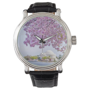 USA, Washington DC, Cherry tree in bloom Watch