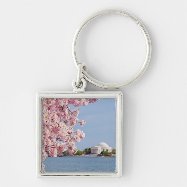 USA, Washington DC, Cherry tree Key Ring (Front)