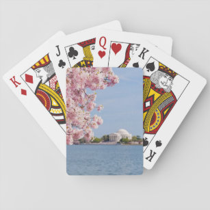 USA, Washington DC, Cherry tree Playing Cards