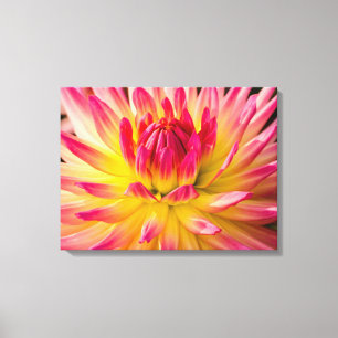 USA, Washington. Detail Of Dahlia Flower Canvas Print