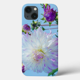 USA, Washington. Detail Of Dahlia Flowers iPhone 13 Case