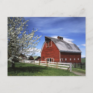 USA, Washington, Ellensburg, Barn Postcard