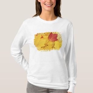 USA, Washington, Finch Arboretum, Red and T-Shirt