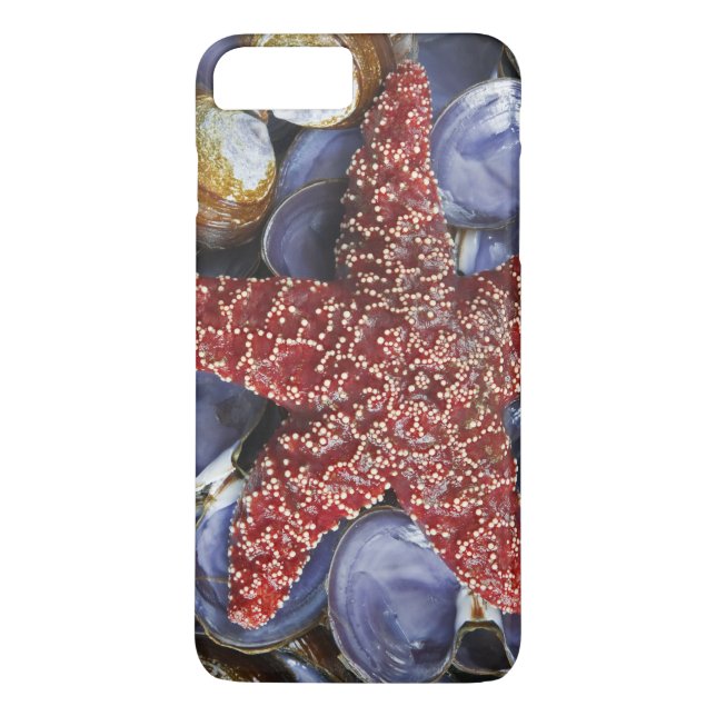 USA, Washington, Hood Canal, Seabeck. Close-up Case-Mate iPhone Case (Back)