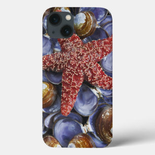 USA, Washington, Hood Canal, Seabeck. Close-up iPhone 13 Case