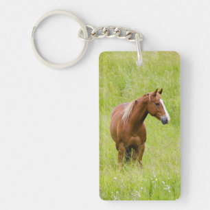 USA, Washington, Horse in Spring Field, Key Ring