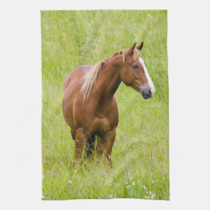 USA, Washington, Horse in Spring Field, Tea Towel