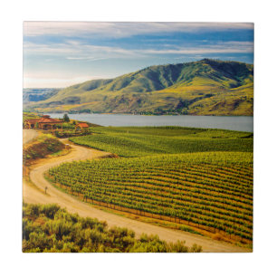 USA, Washington, Lake Chelan. Benson Vineyards Tile