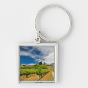 USA, Washington, Lake Chelan. Vineyard 3 Key Ring