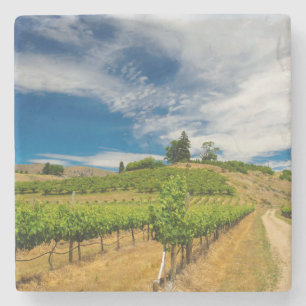 USA, Washington, Lake Chelan. Vineyard 3 Stone Coaster