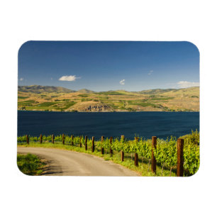 USA, Washington, Lake Chelan. Vineyard Magnet