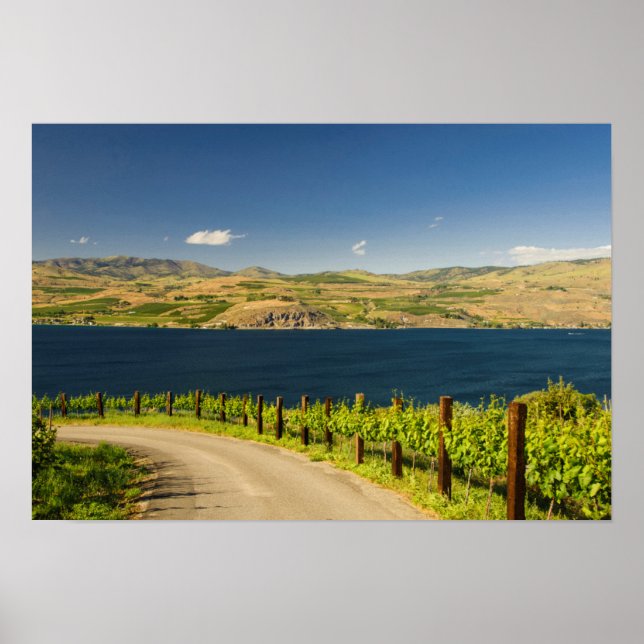 USA, Washington, Lake Chelan. Vineyard Poster (Front)