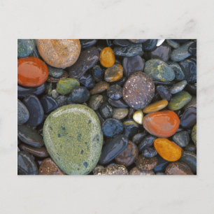 USA, Washington, Lopez Island, Agate Beach Postcard