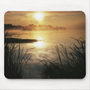 USA, Washington, Lopez Island, Morning fog on Mouse Pad