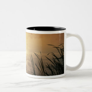USA, Washington, Lopez Island, Morning fog on Two-Tone Coffee Mug