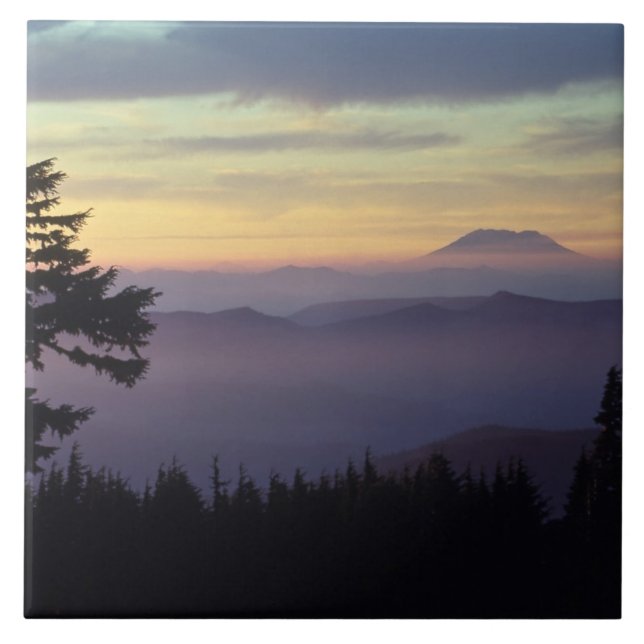 USA, Washington. Mount St. Helens seen through Tile (Front)