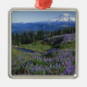 USA, Washington Mt. Adams Wilderness, Meadows Metal Tree Decoration