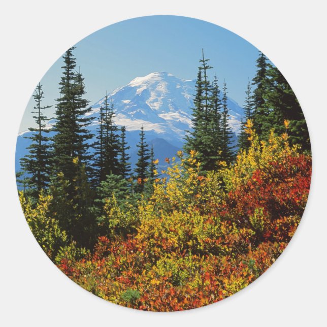 USA, Washington, Mt. Rainier National Park 2 Classic Round Sticker (Front)