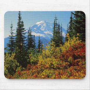 USA, Washington, Mt. Rainier National Park 2 Mouse Pad