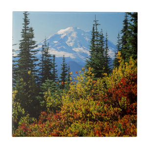 USA, Washington, Mt. Rainier National Park 2 Tile