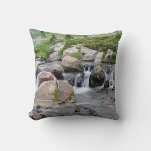 USA, Washington, Mt. Rainier National Park 3 Cushion