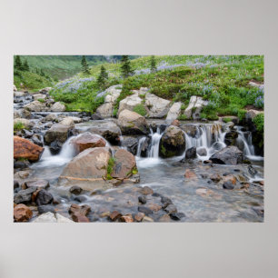 USA, Washington, Mt. Rainier National Park 3 Poster