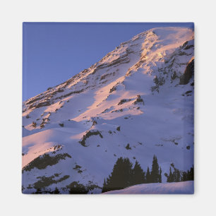 USA, Washington, Mt. Rainier National Park Magnet