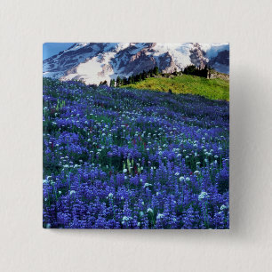 USA, Washington, Mt. Rainier National Park. Mt. 15 Cm Square Badge